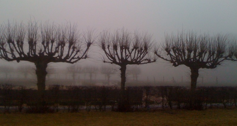 Kvinnliga romantiker